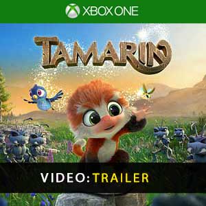 Tamarin Xbox One Prices Digital or Box Edition