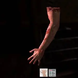 The Black Within - Humans Arm