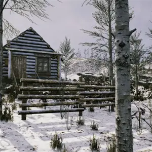 The Cold White - Cabin