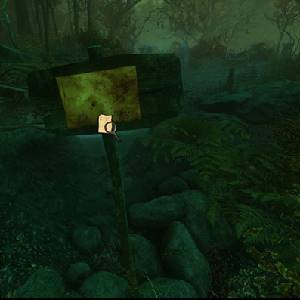 The Cursed Forest - Forest Map