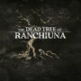 The Dead Tree of Ranchiuna: Atmospheric Walking Simulator Now on Consoles