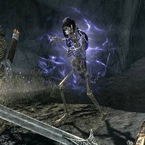 The Elder Scrolls 5 Skyrim Anniversary Upgrade Skeleton