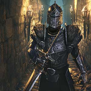The Elder Scrolls Online Collection High Isle Knight