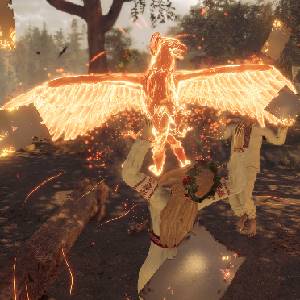 The End of the Sun - Bird