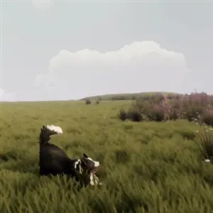 The Free Shepherd - Dog