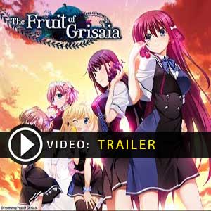 Buy The Fruit of Grisaia CD Key Compare Prices