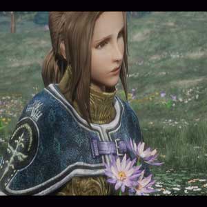 The Last Remnant