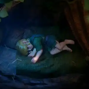 The Legend of Zelda: Ocarina of Time - Sleeping