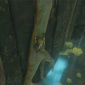 The Legend of Zelda Tears of the Kingdom Climbing