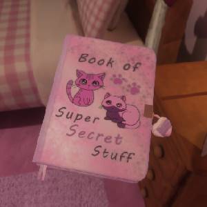 The Quiet Things - Diary