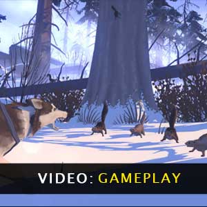 The Red Lantern Gameplay Video