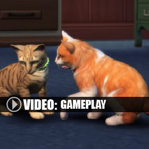 The Sims 4 Cats and Dogs Gameplay Video