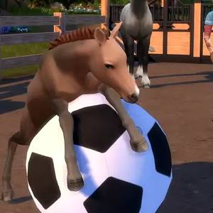 The Sims 4 Horse Ranch Expansion Pack Foal