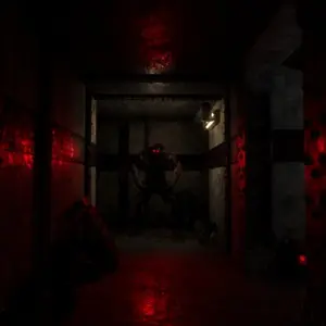 THE WALLWAY - The Killer