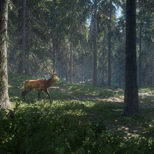 theHunter Call of the Wild - Trophy Buck