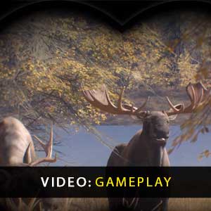 theHunter Call of the Wild Gameplay Video