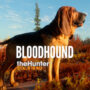 theHunter – Call of the Wild | Developing the Bloodhound