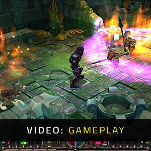 Torchlight Gameplay Video