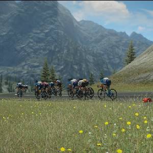 Tour de France 2024 Peloton