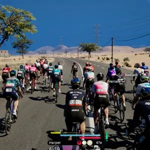 Tour de France 2026 - Cyclists