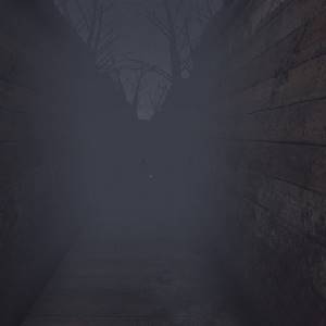 Trenches - Fog