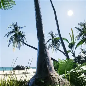 TRIGGER - Island