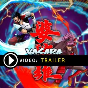 Buy VASARA Collection CD Key Compare Prices