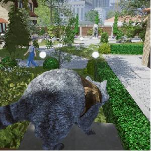 Wanted Raccoon - Gate