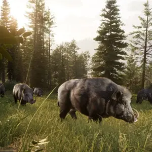Way of the Hunter 2 - Wild Boar