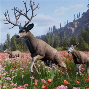 Way of the Hunter 2 - Mule Deer