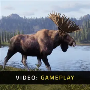 Way of the Hunter 2 - Gameplay