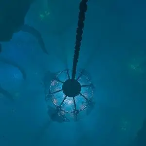 We Were Here Series Bundle - Dive Chamber