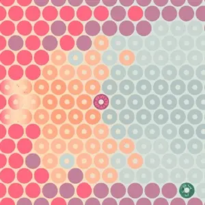 What Surrounds Us - Biome