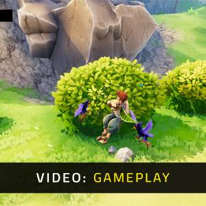 What The Duck Gameplay Video