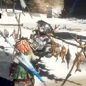 WILD HEARTS S - Collect Ingredients