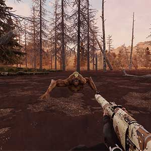 Will To Live Online - Swamp