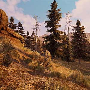 Will To Live Online - Dead Forest
