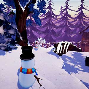 Winter Warland