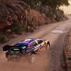 WRC Generations - Rough Road Tracks