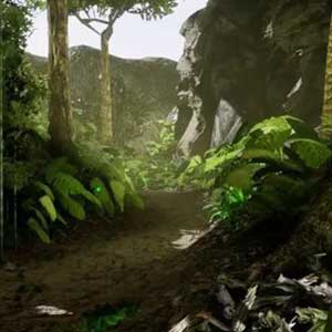 Path going to the base camp